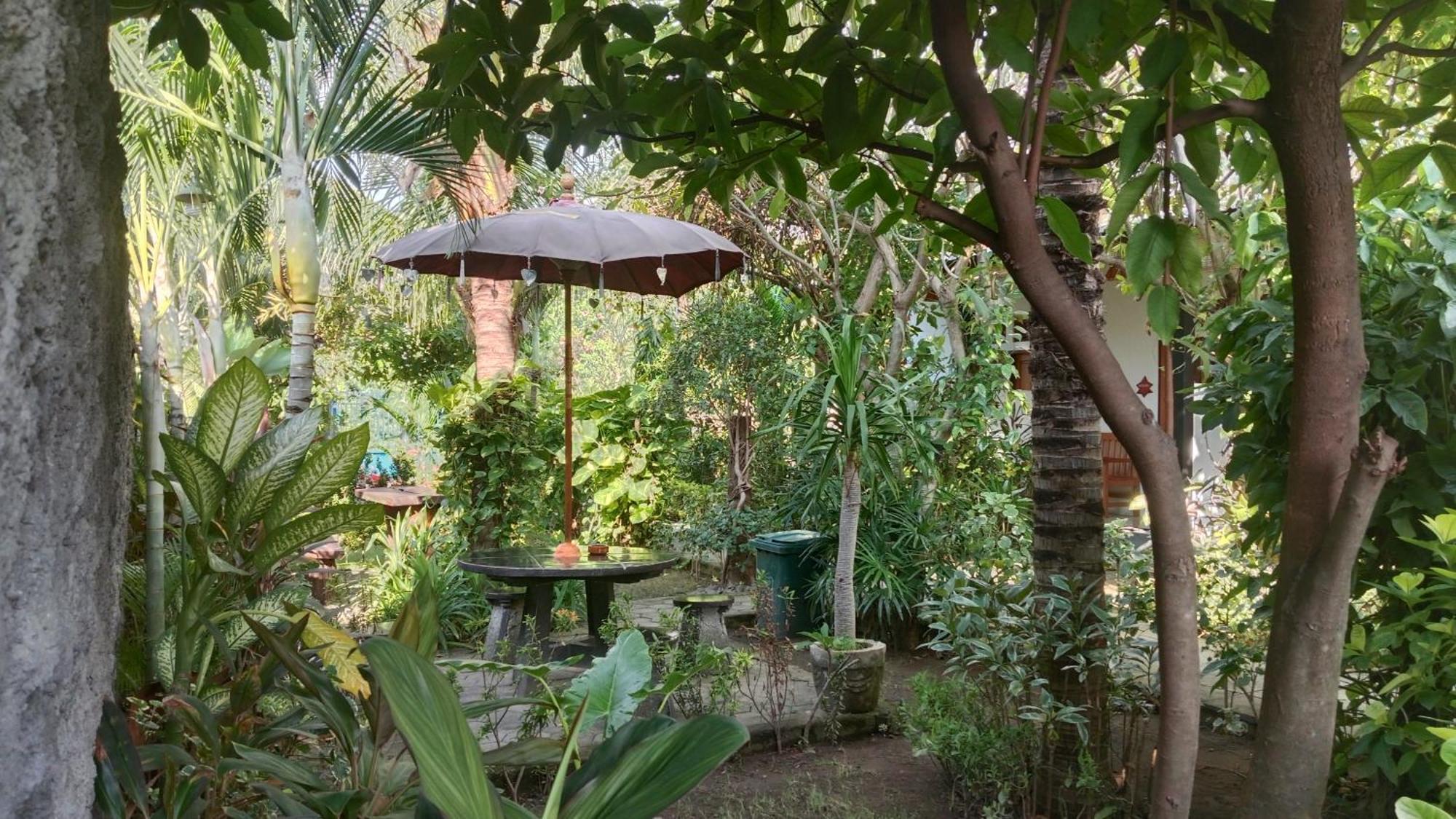 Van Santri Homestay Pemuteran エクステリア 写真